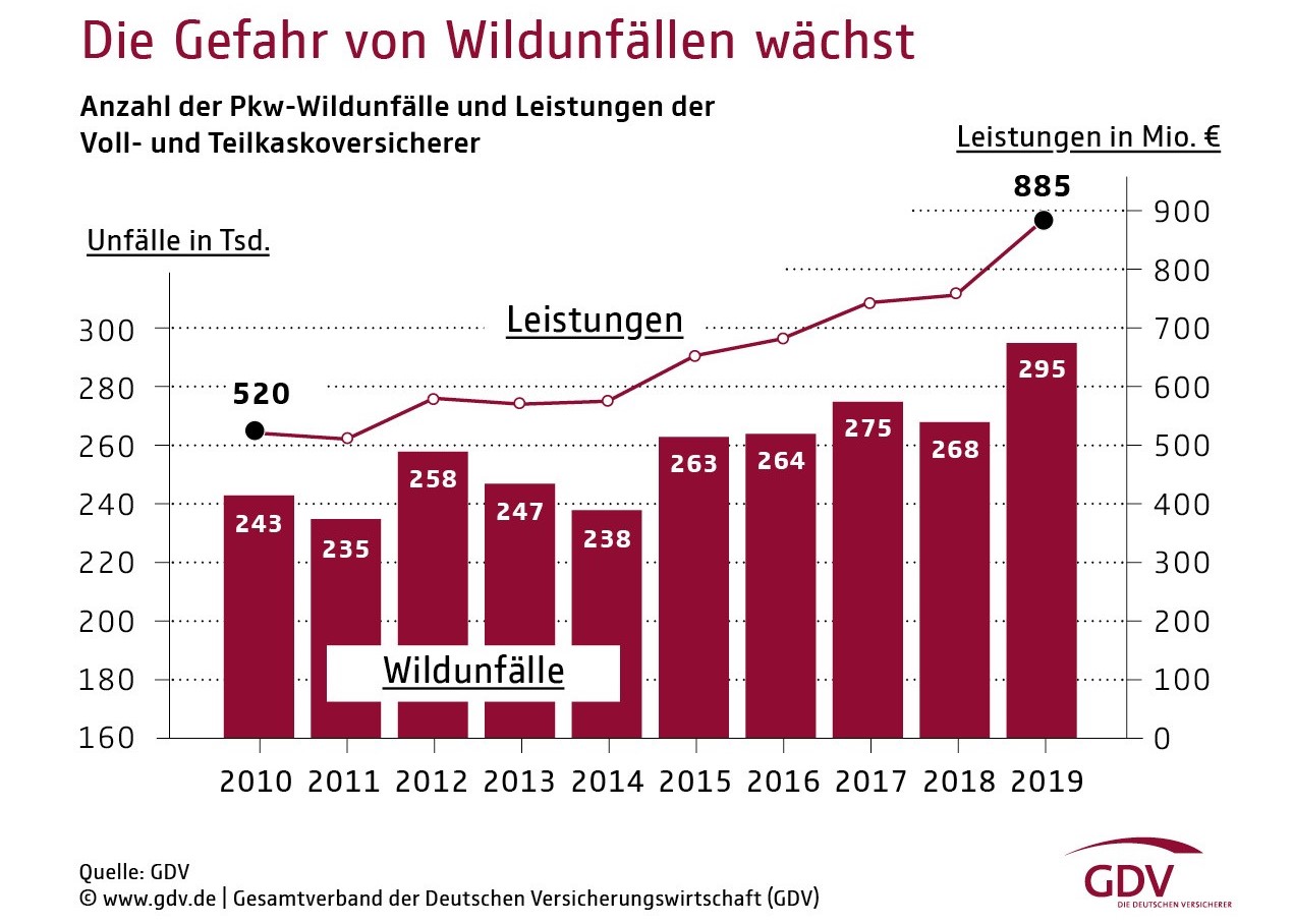 GDV Wildunfall